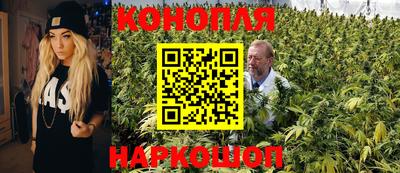 шишки Ипатово
